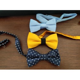 Papillon fantasia 